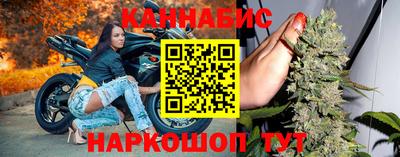индика Дубна