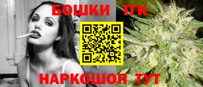 индика Дубна