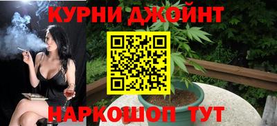 индика Дубна