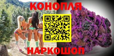 индика Дубна