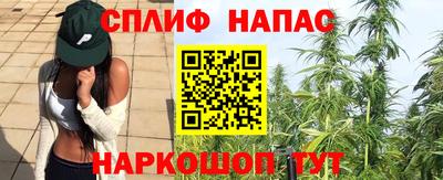 индика Дубна