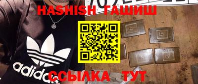 индика Дубна