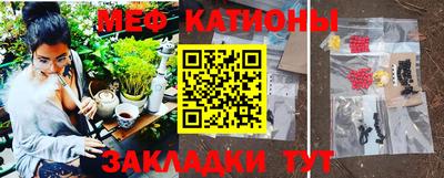 индика Дубна