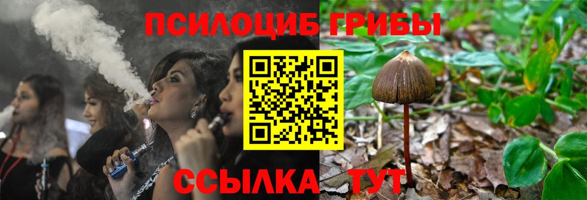 магазин продажи наркотиков  Галлюциногенные грибы Cubensis  Псилоцибиновые грибы мухоморы  Вход с VPN  Саратов 