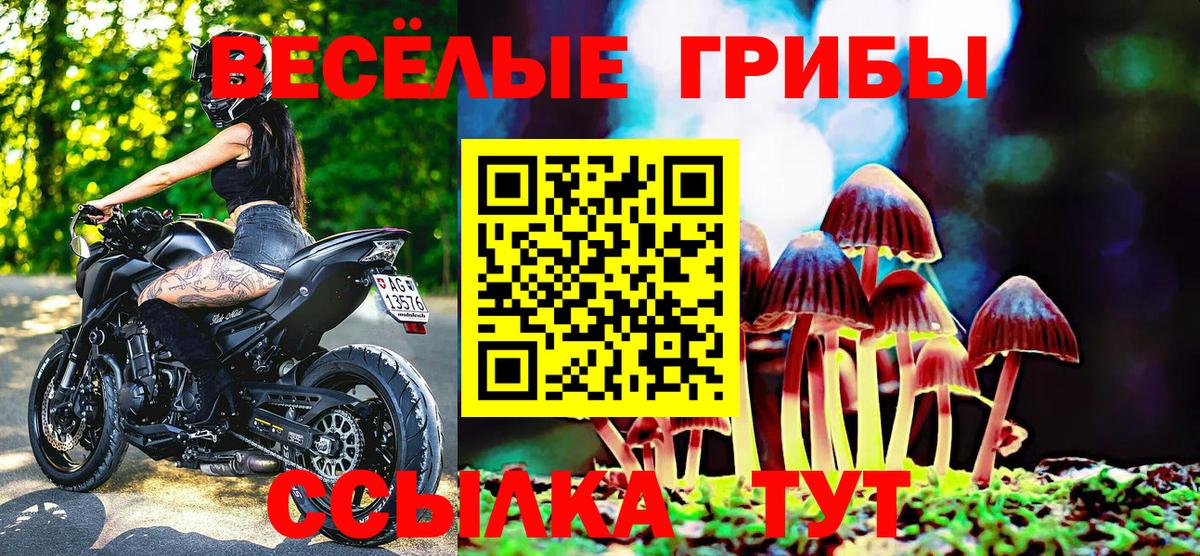 Псилоцибиновые грибы ЛСД Саратов